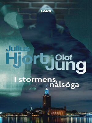 cover image of I stormens nålsöga